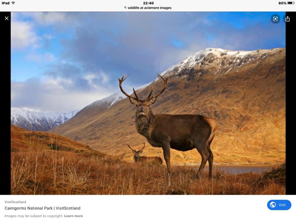 The Monarch Lodge ,Aviemore Holiday Park Luaran gambar